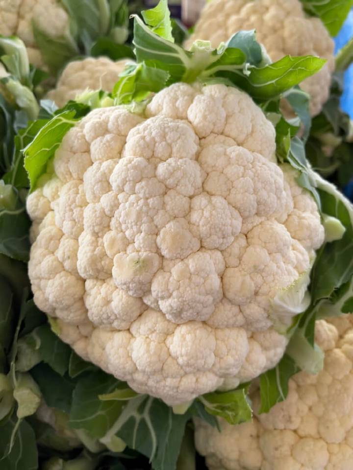 A highly photogenic cauliflower with green leaves.